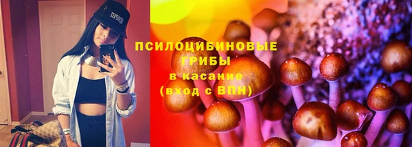 PSILOCYBIN Абаза