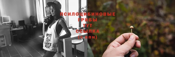 PSILOCYBIN Абаза